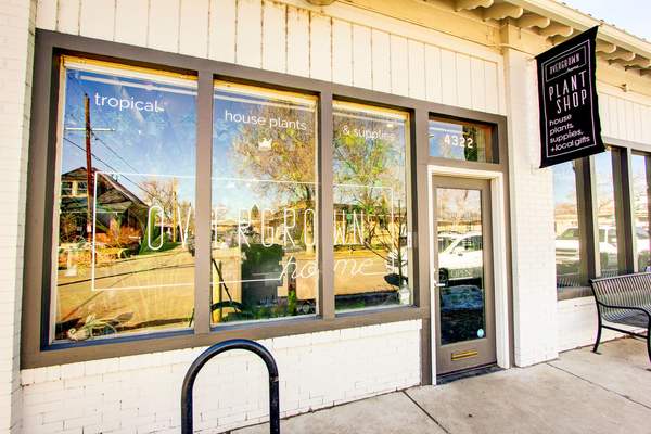 Overgrown Home Plant Shop in Denver Highlands